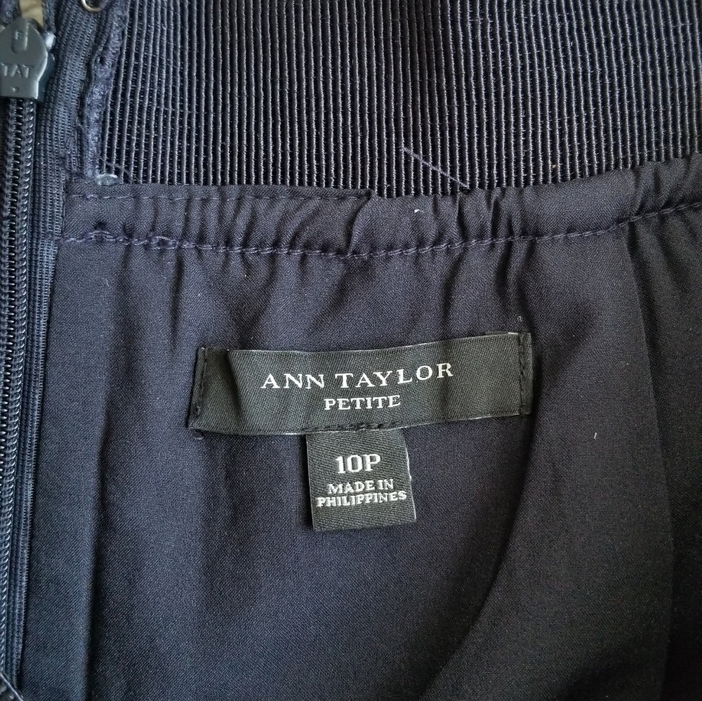 Ann Taylor‎ Petite Blue White Vertical Pin Stripe Skirt 10P - Picture 4 of 8